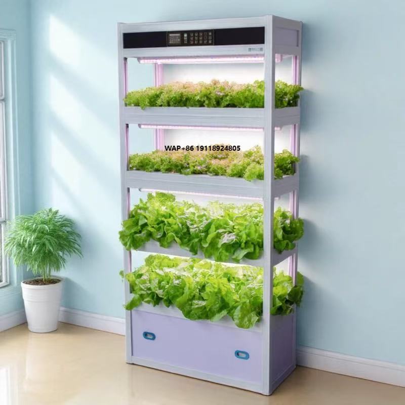Hydroponic System - Indoor intelligent hydroponisch groeisysteem voor groenteteelt,