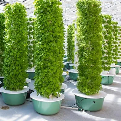Hydroponic System - Aeroponics-torenkweeksystemen met verlichting, 60 planten, aeroponisch