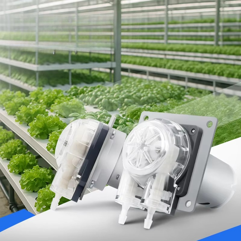 Hydroponic System - Geluidsarme 12V 24V DC motor 280ml/min