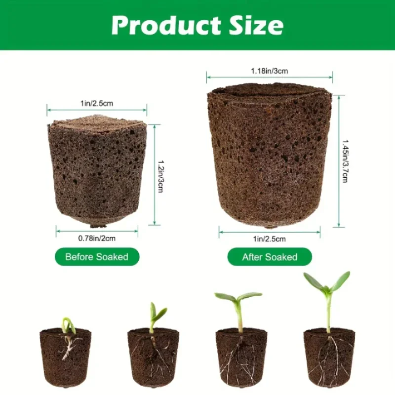 Hydroponic System - Zaailingstartset met sponsjes voor hydroponische binnenkweeksystemen,