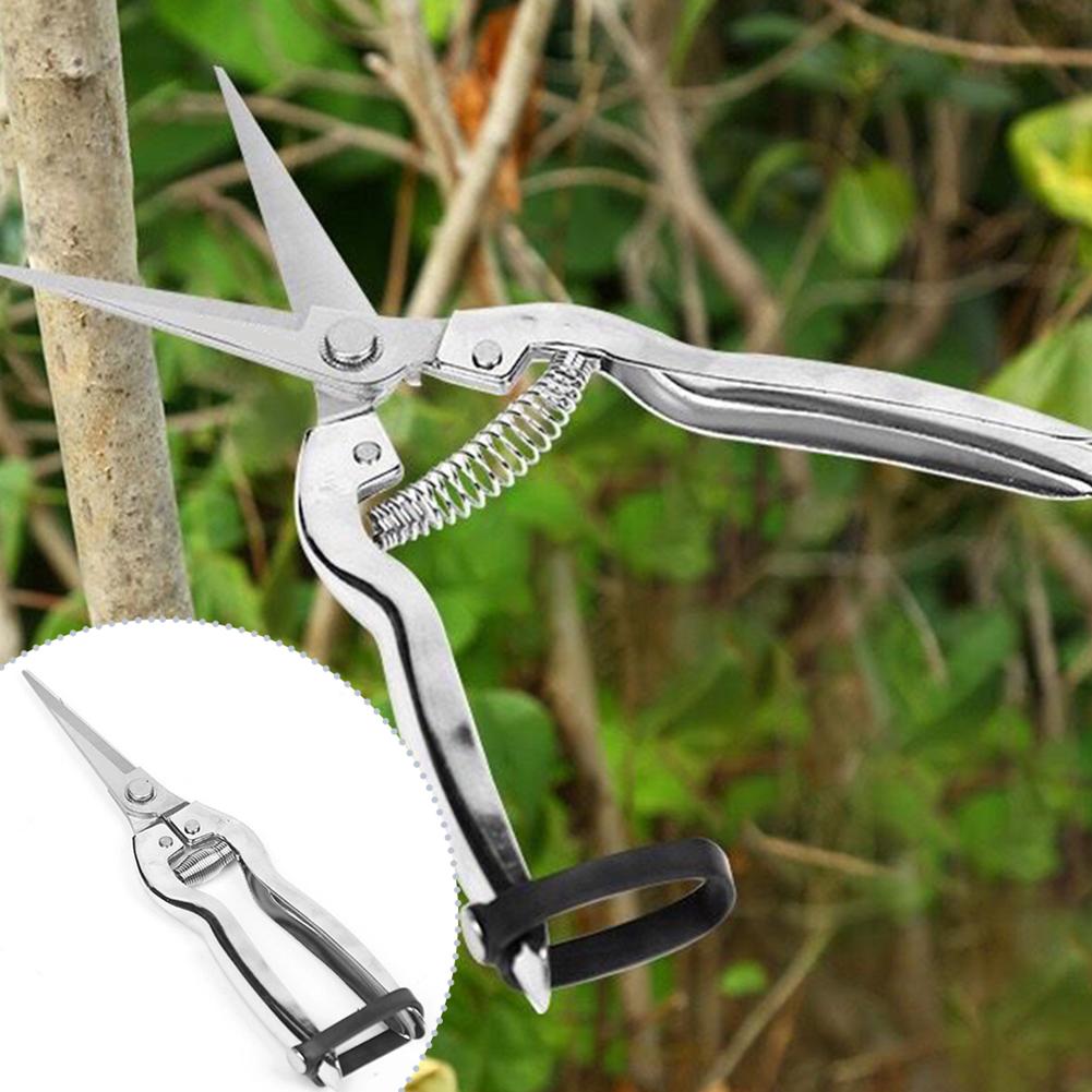 Gardening Hand Tools Yard - Snoeischaar Tuinschaar Voor rozen, planten snoeien