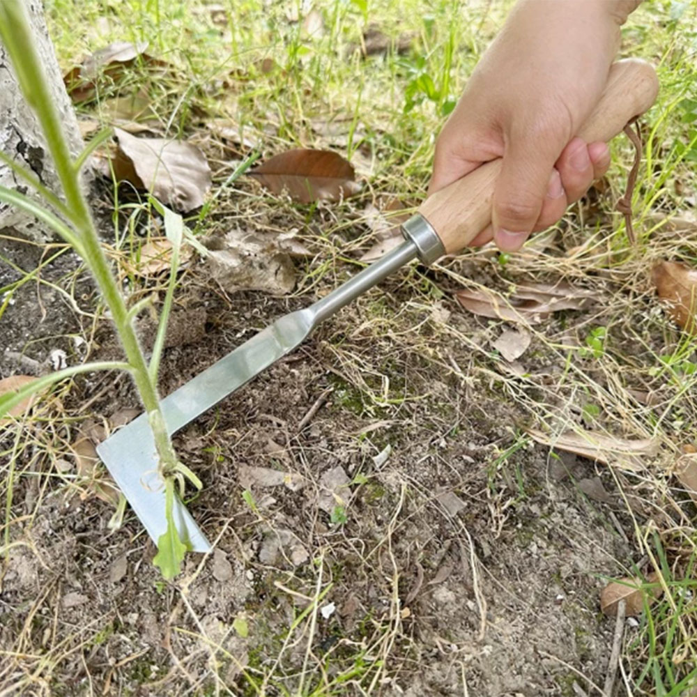 Onkruidverwijderingsgereedscha - Gardening Hand Tools Yard recensie en prijs