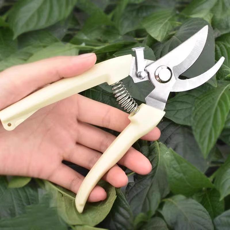 Krachtige snoeischaar voor het - Gardening Tools Pink recensie en prijs