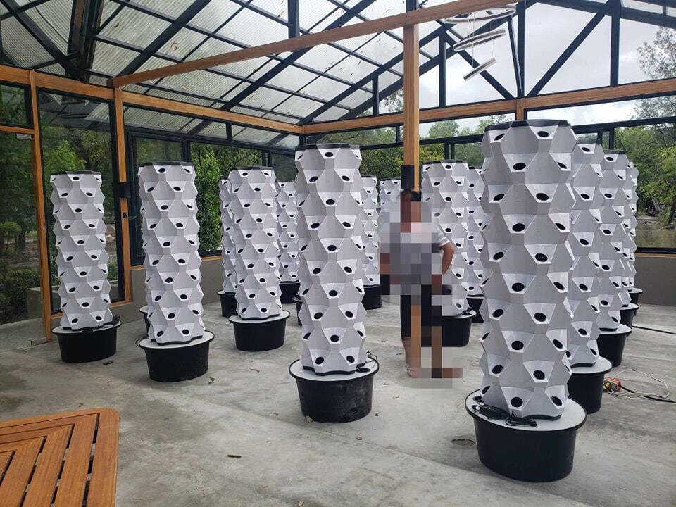 Verticale kasbouw hydrocultuur - Hydroponic System recensie en prijs