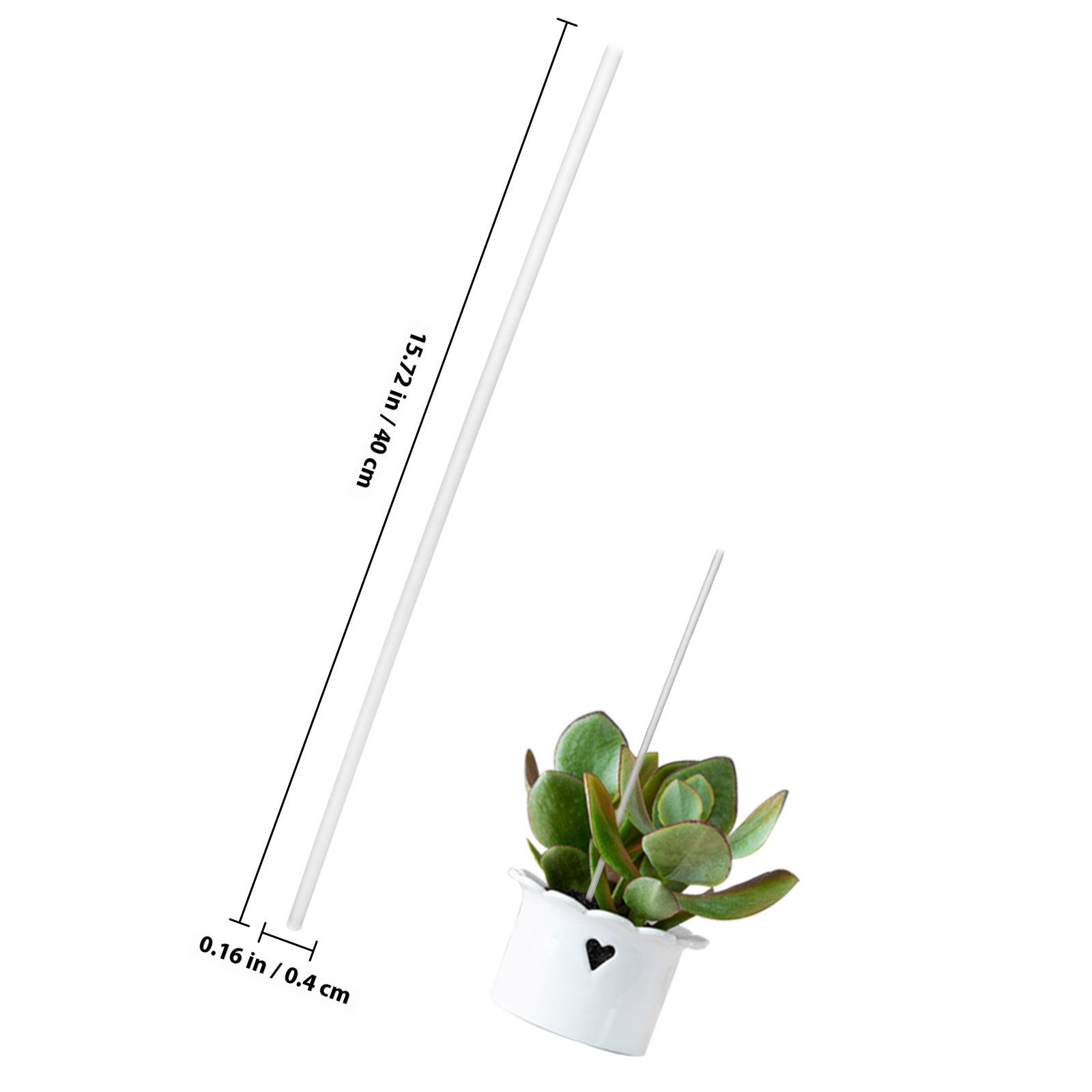 1 set transparante acryl plant - Gardening Tools Required recensie en prijs