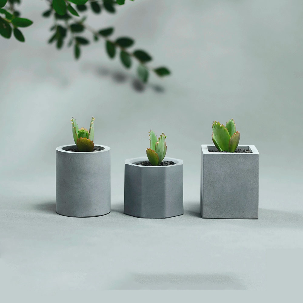 Schattig Meisje Plant Pot Sili - Gardening Tools Cute recensie en prijs