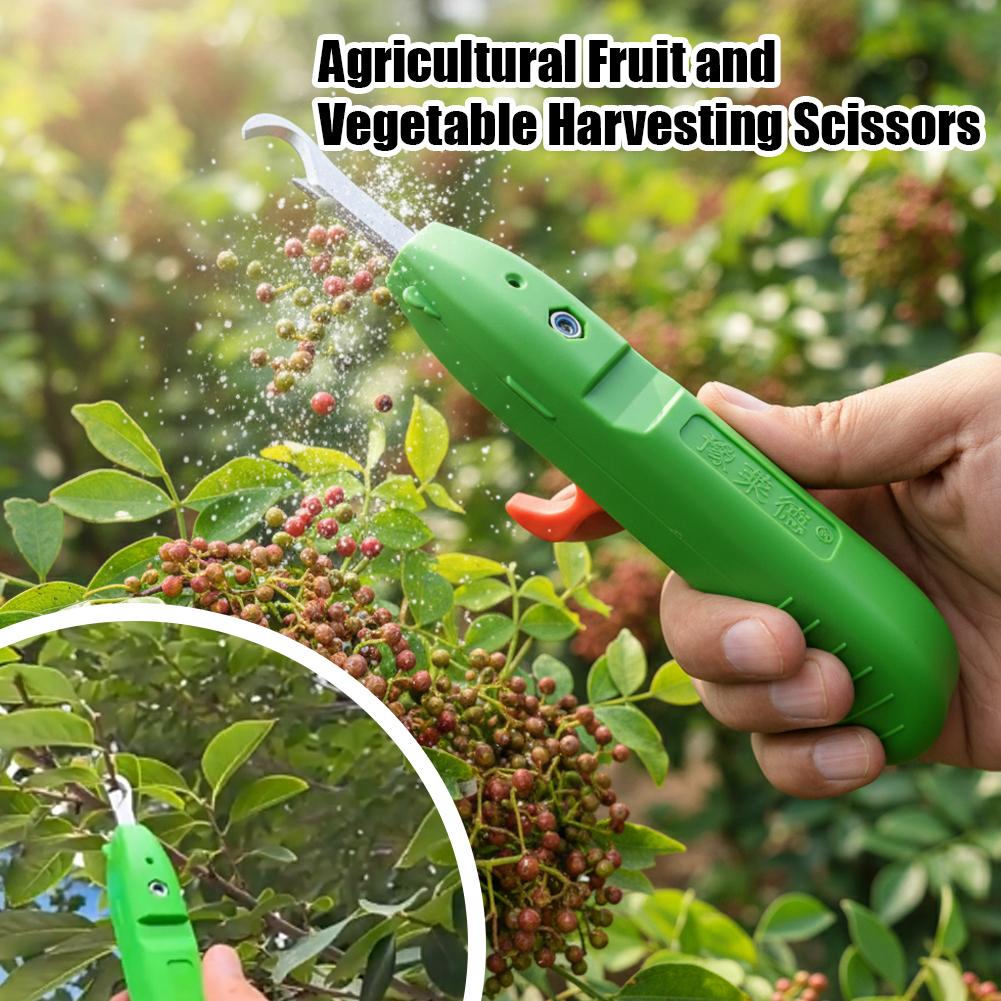 Fruit- en groentepluk schaar,  - Gardening Tools Hand recensie en prijs