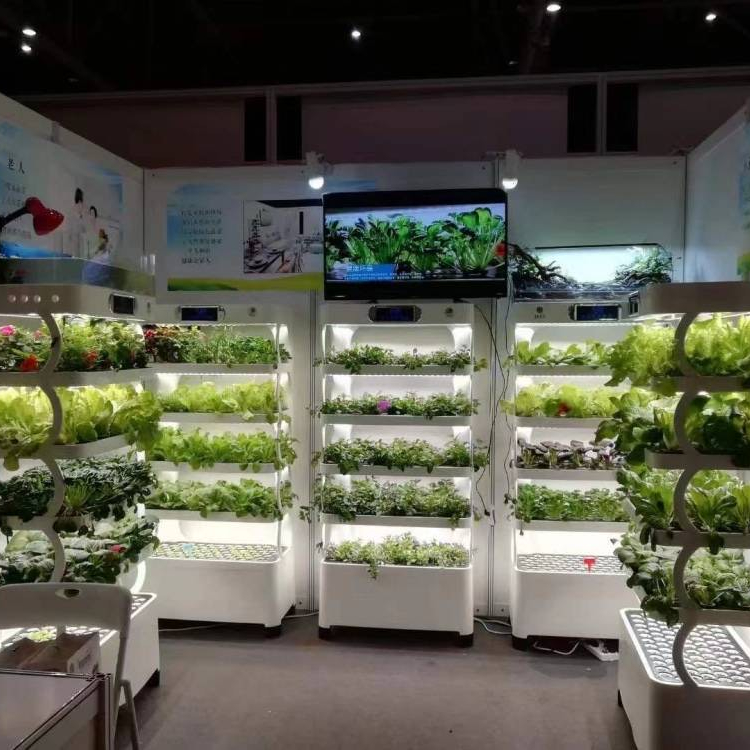 Intelligent Hydroponisch Kweek - Hydroponic System recensie en prijs