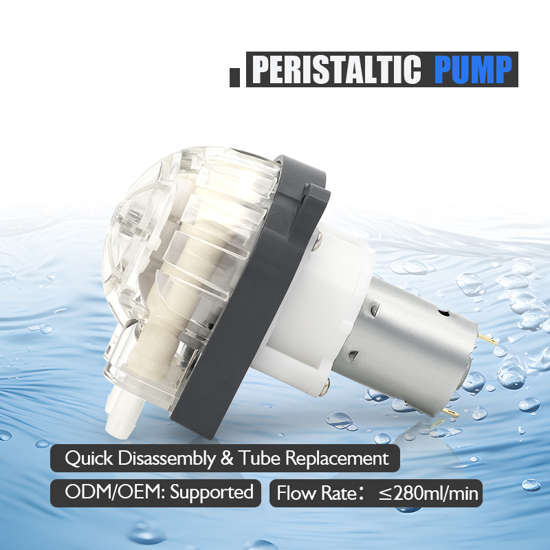 Geluidsarme 12V 24V DC motor 2 - Hydroponic System recensie en prijs