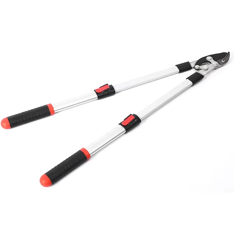 Lange snoeischaar, uittrekbare - Gardening Tools Hand recensie en prijs