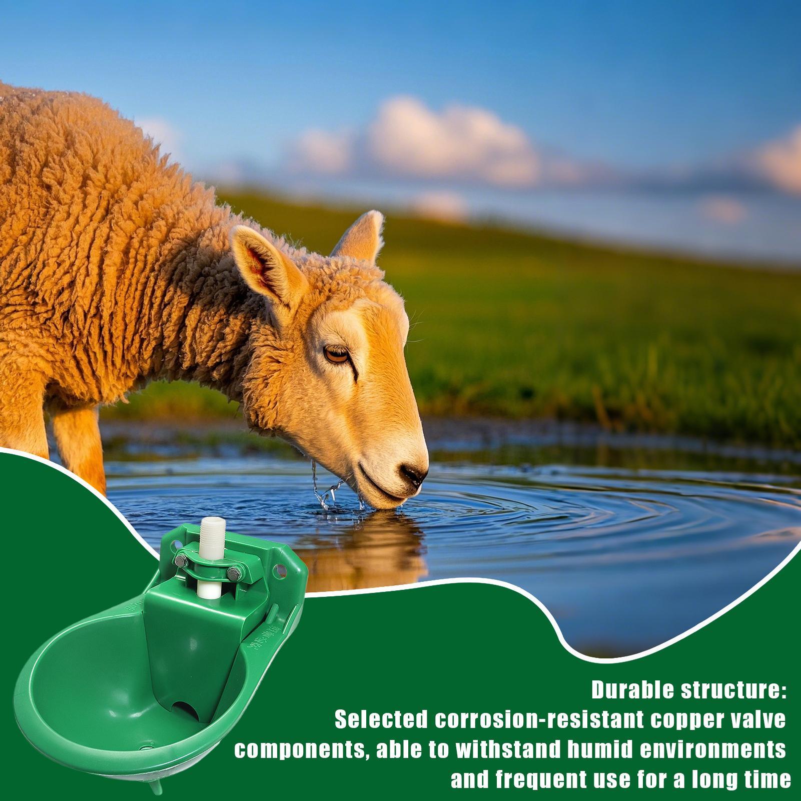 Paardenwaterbak met koperen kl - Gardening Tools For Women recensie en prijs