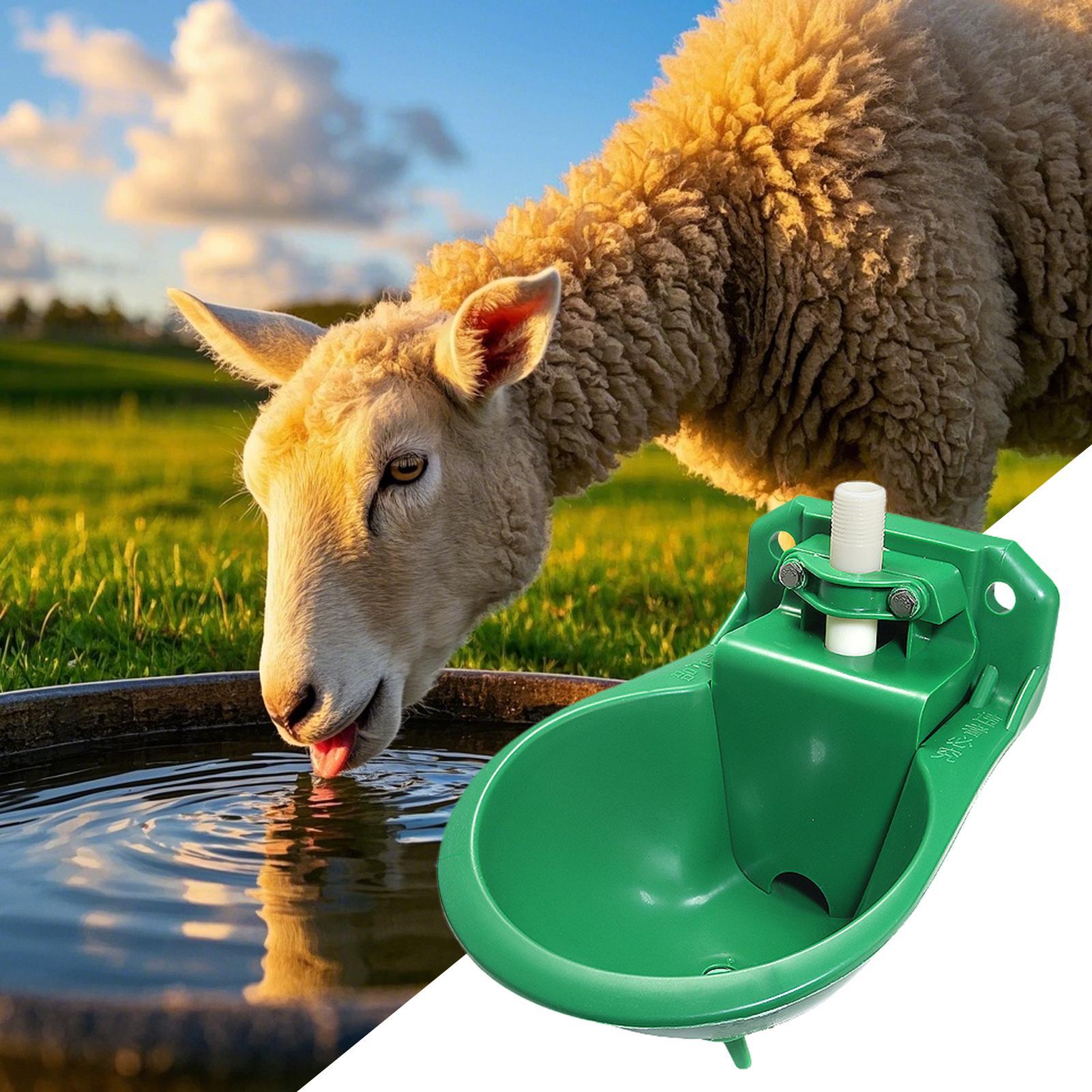 Paardenwaterbak met koperen kl - Gardening Tools For Women recensie en prijs