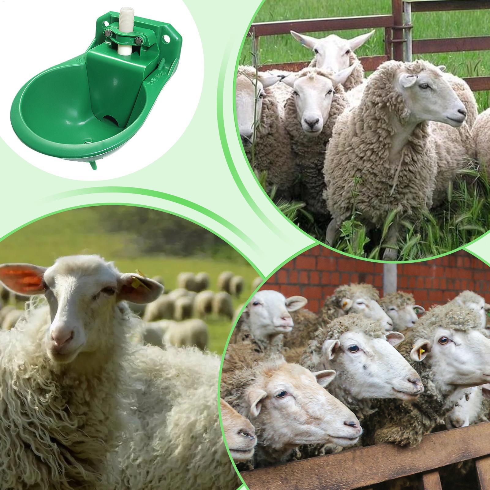 Paardenwaterbak met koperen kl - Gardening Tools For Women recensie en prijs