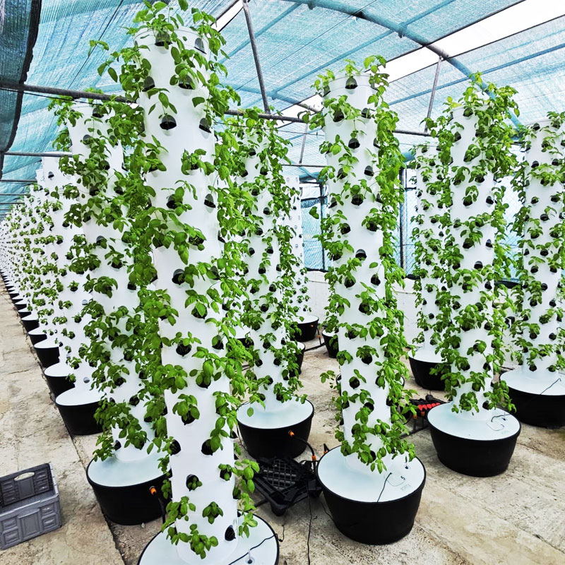 Hoogwaardig, eenvoudig te inst - Hydroponic System recensie en prijs