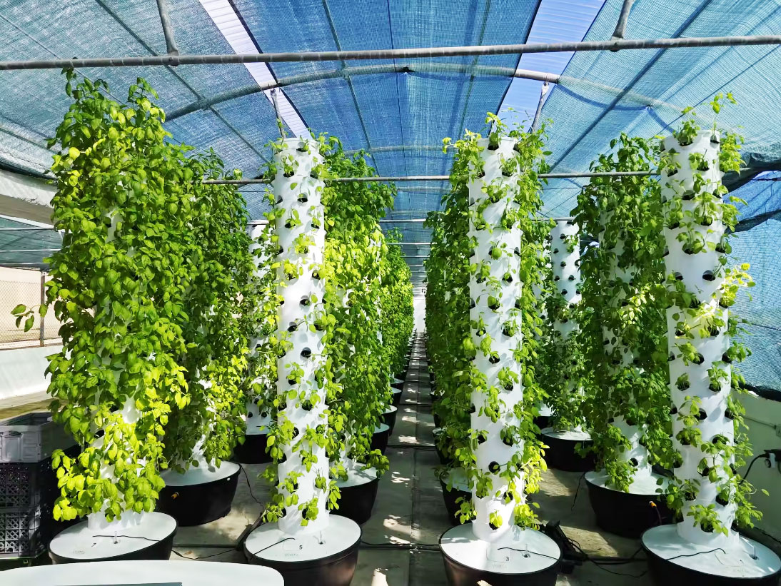 Hoogwaardig, eenvoudig te inst - Hydroponic System recensie en prijs
