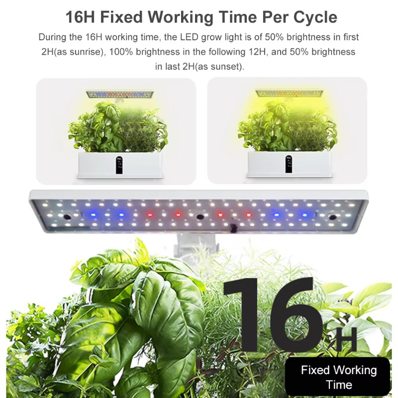 9 Pods Smart Hydroponics Kweek - Hydroponic System recensie en prijs