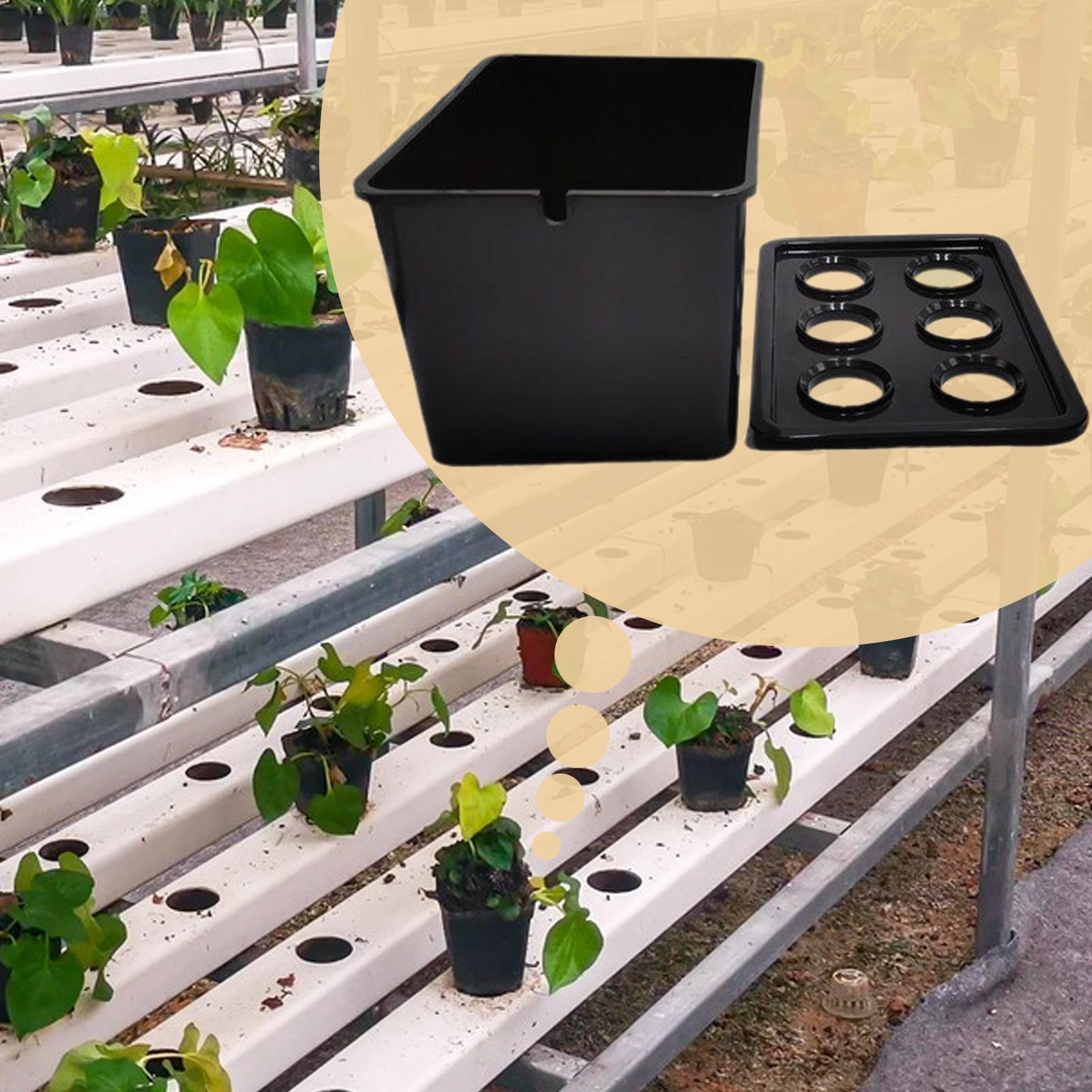 Hydrocultuur plantkit Beginner - Hydroponic System recensie en prijs