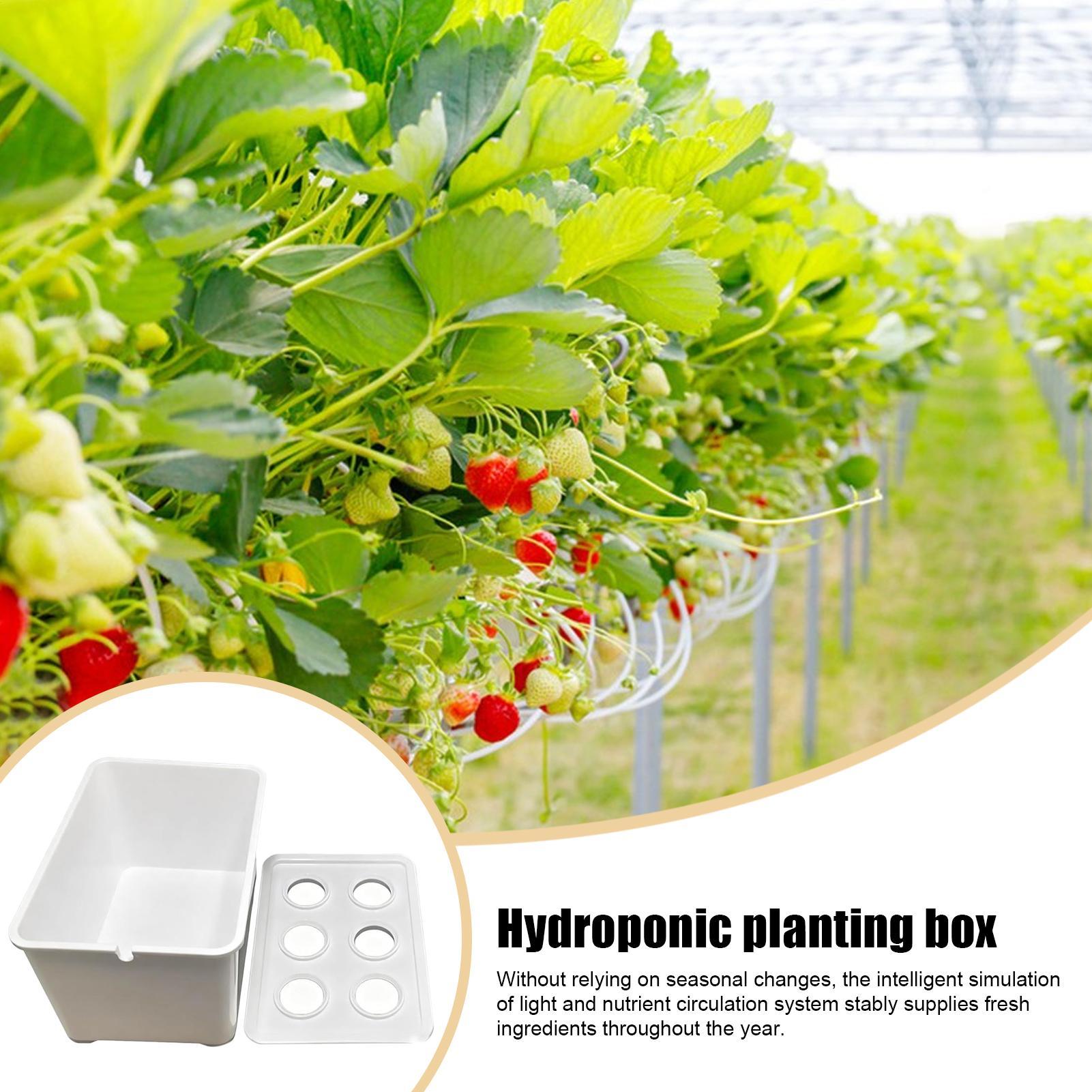 Hydrocultuur plantkit Beginner - Hydroponic System recensie en prijs