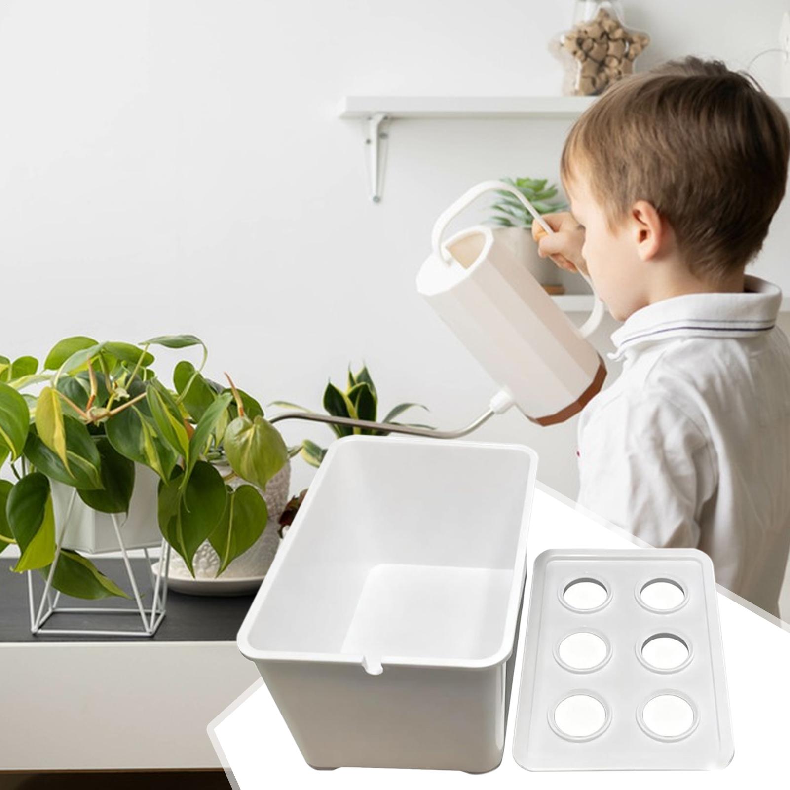 Hydrocultuur plantkit Beginner - Hydroponic System recensie en prijs