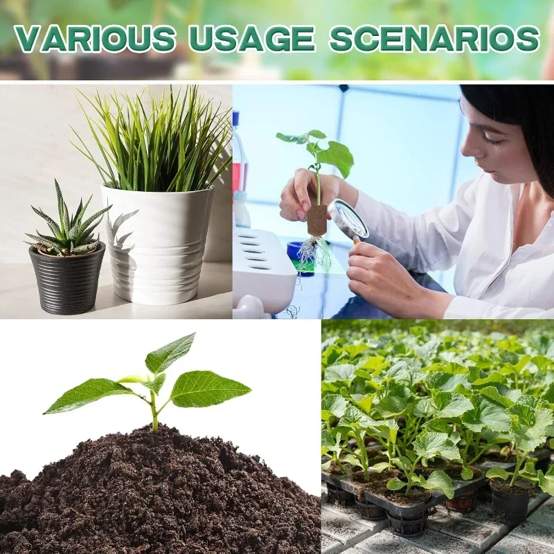Zaailingstartset met sponsjes  - Hydroponic System recensie en prijs