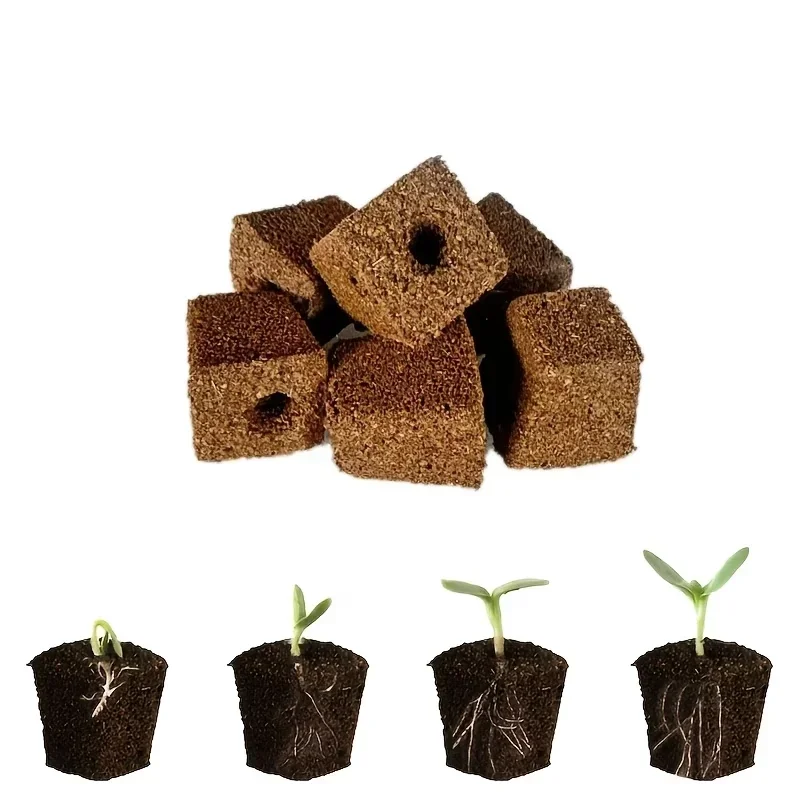 Zaailingstartset met sponsjes  - Hydroponic System recensie en prijs