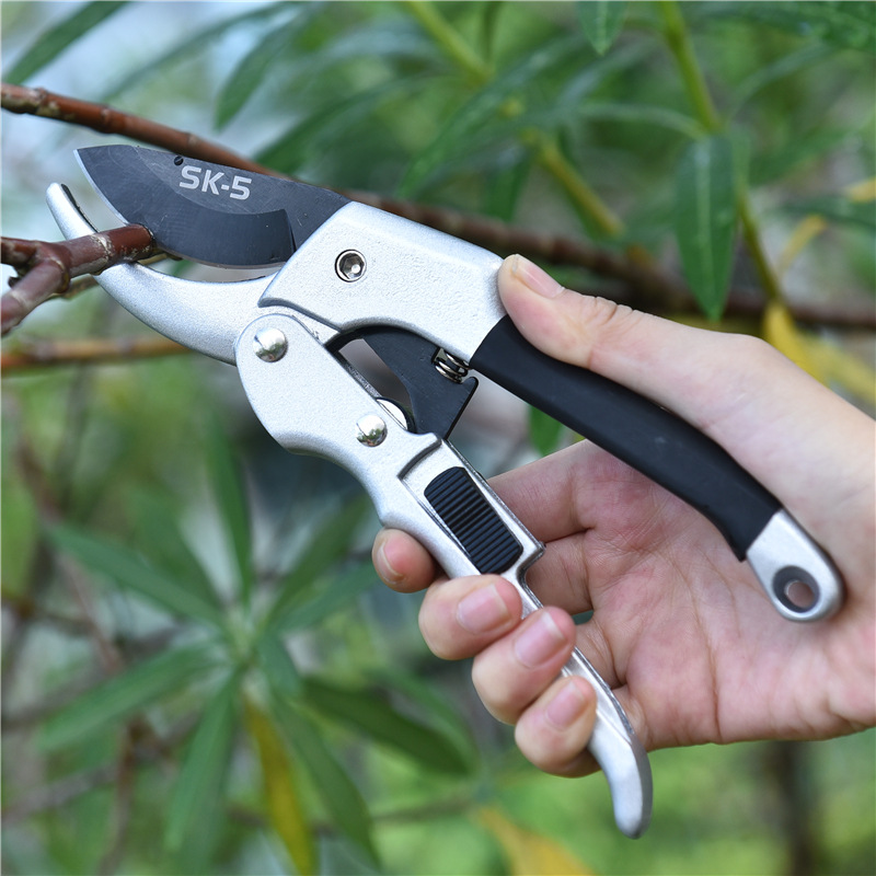 Nieuwe 20 Cm Ratel Plant Trim  - Gardening Tools For Beginners recensie en prijs