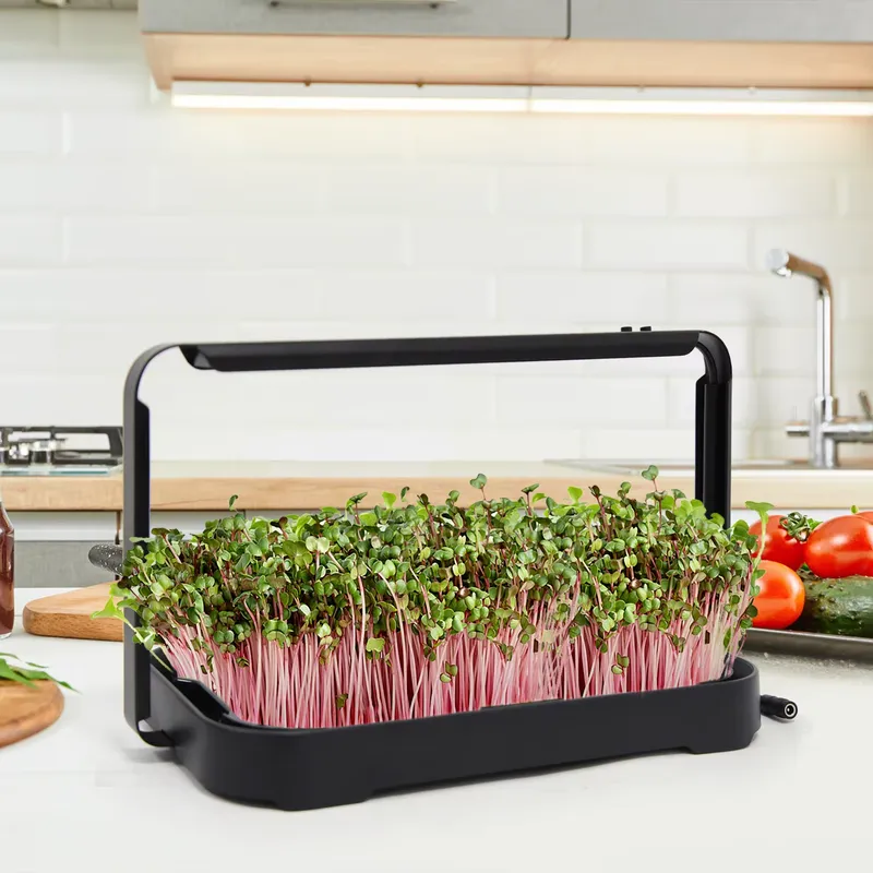 Hydroponische Bak Indoor Micro - Hydroponic System recensie en prijs