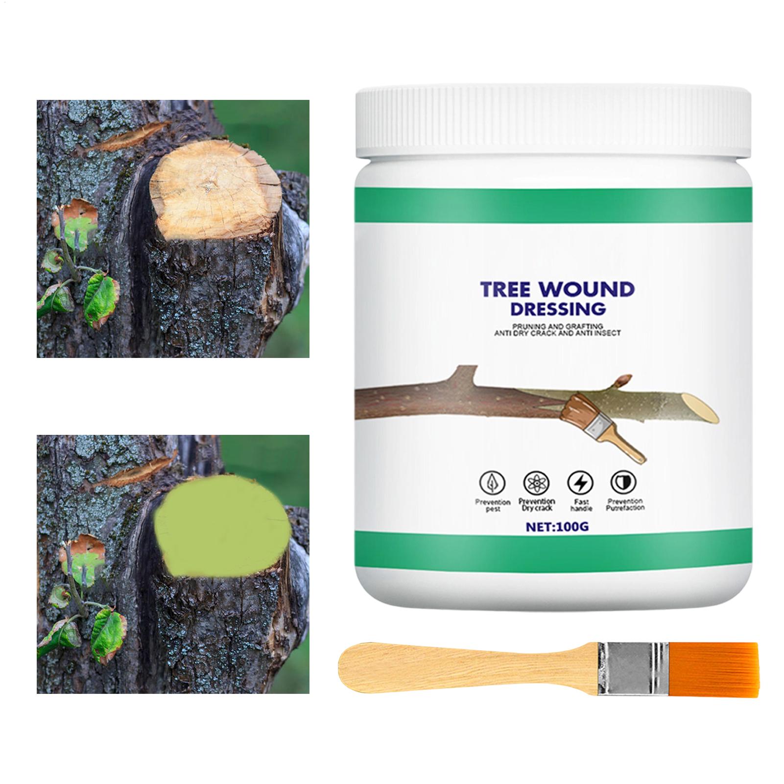 Boomverzorgingspasta, wondpast - Gardening Tools For Women recensie en prijs