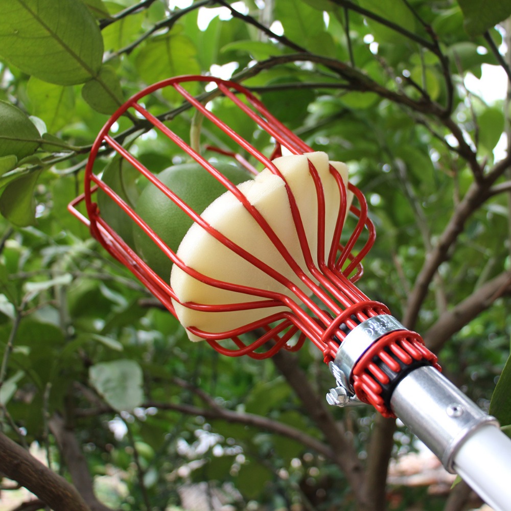 Metalen/kunststof fruitplukker - Gardening Tools Hand recensie en prijs