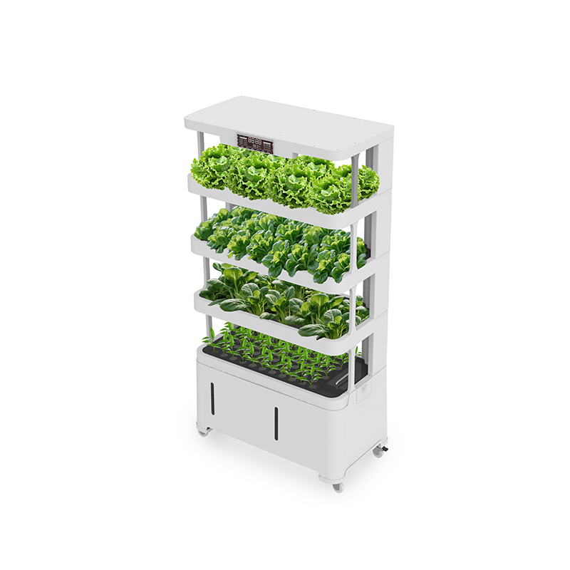 High-tech intelligente hydropo - Hydroponic System recensie en prijs