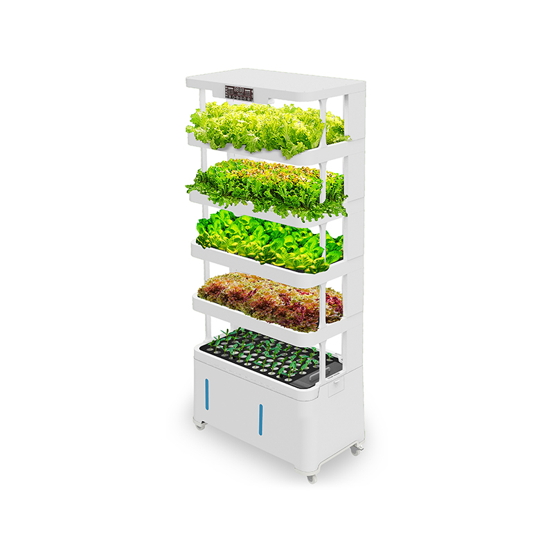 High-tech intelligente hydropo - Hydroponic System recensie en prijs