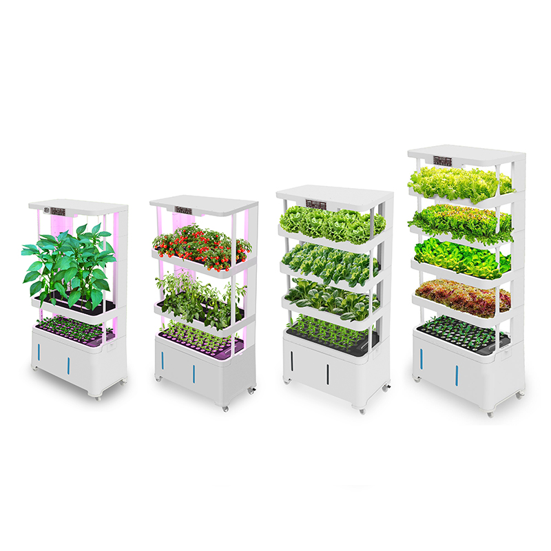 High-tech intelligente hydropo - Hydroponic System recensie en prijs